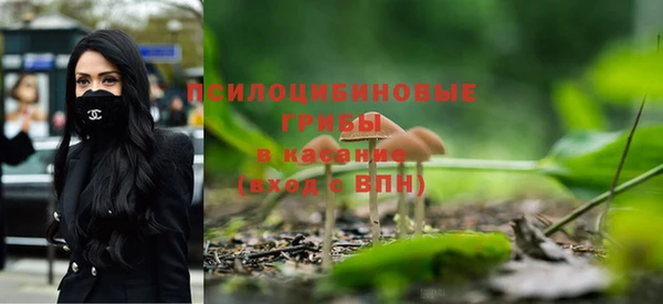 a pvp Алексин