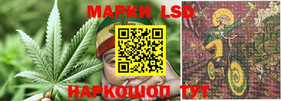 соль ск Моздок