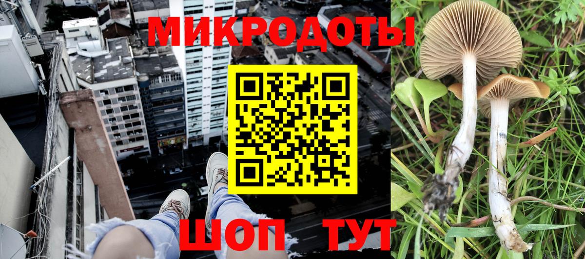 как найти закладки  Вход с VPN  Анапа  Галлюциногенные грибы мицелий 