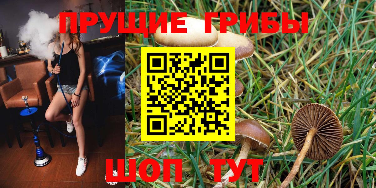 Галлюциногенные грибы Magic Shrooms Анапа